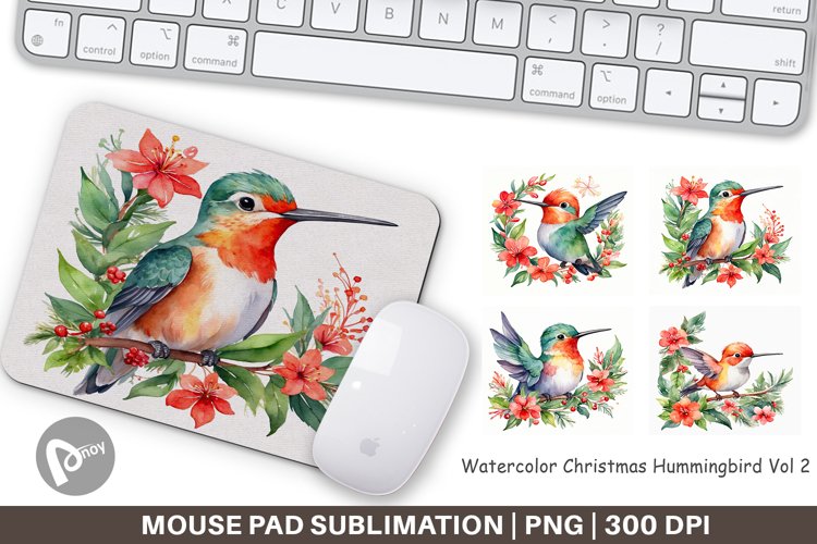 Hummingbird Png Image 17