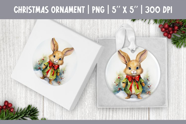 Bunny Clipart Image 18