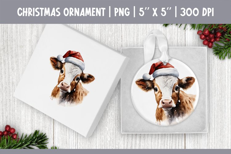 Christmas Ornament Png Image 16
