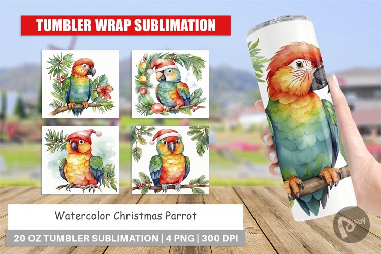 Parrot Clipart Image 7