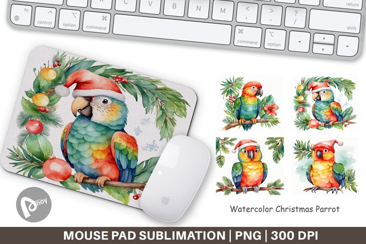 Parrot Clipart Image 18