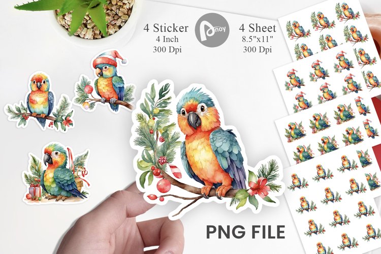 Parrot Png Image 16