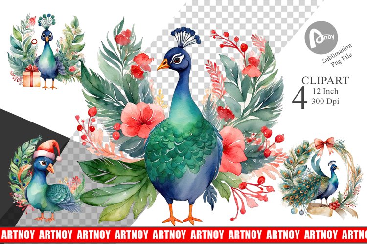 Peacock Png Image 18