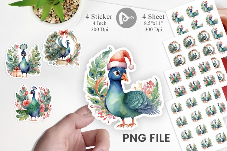 Peacock Png Image 17
