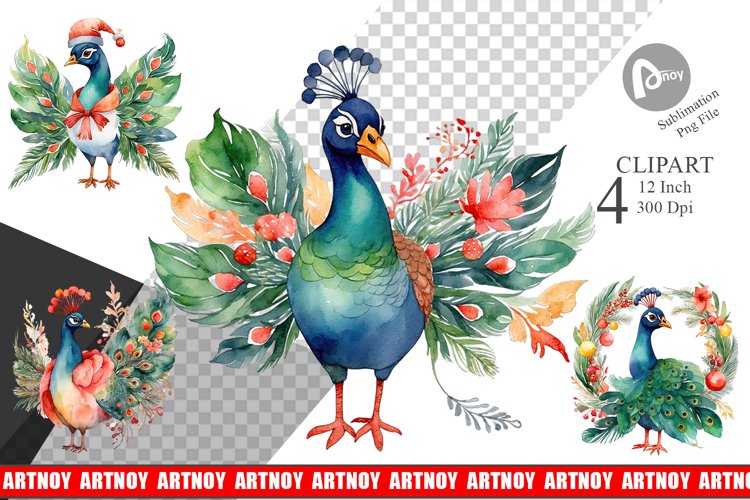 Peacock Png Image 19