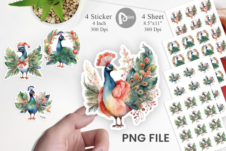 Peacock Png Image 16