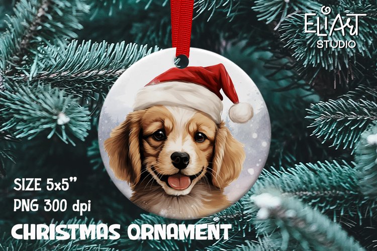 Puppy Png Image 17