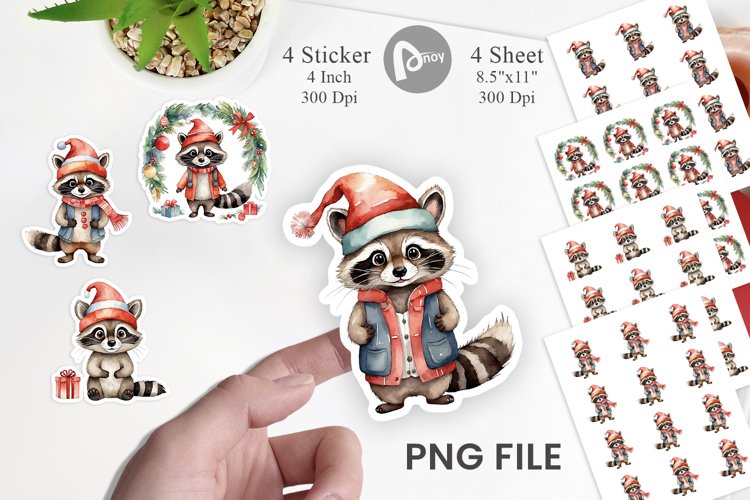 Raccoon Png Image 5