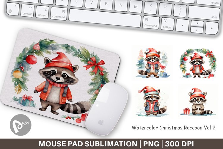 Raccoon Clipart Image 19