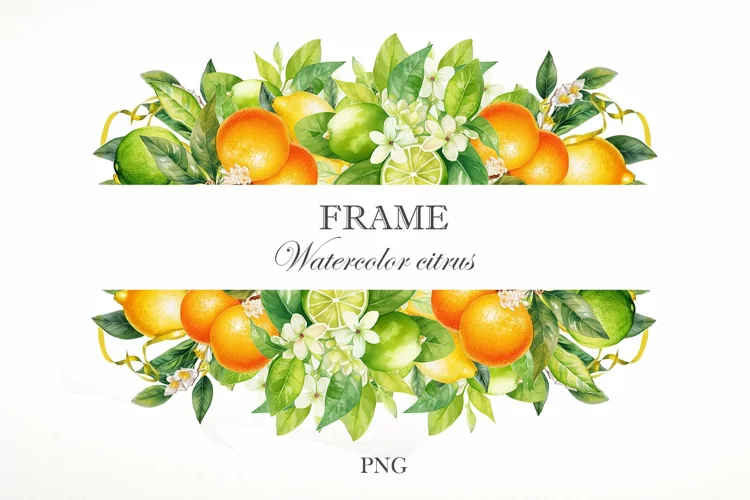 Watercolor citrus frame. Citrus Border