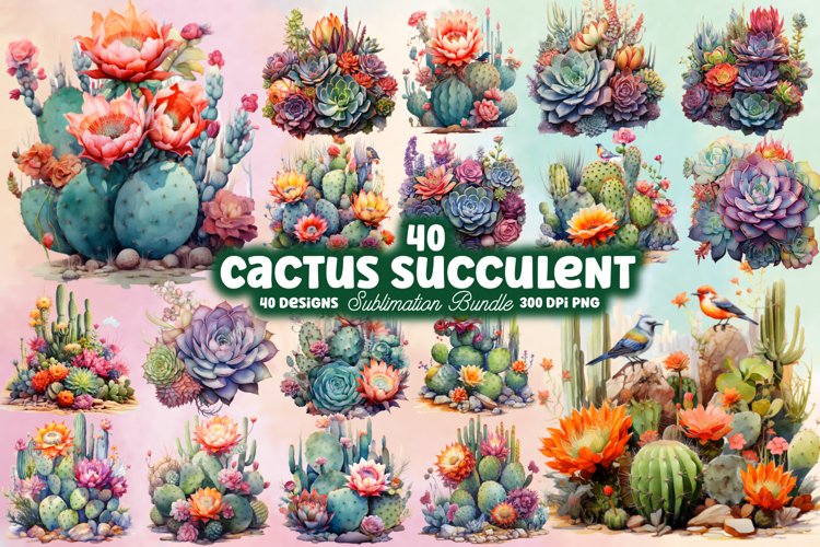 Cactus Succulent Clipart, Clipart, Instant Download