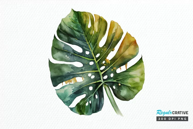 Watercolor Tropical Leave PNG Clipart