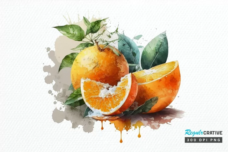 Watercolor Oranges PNG Clipart