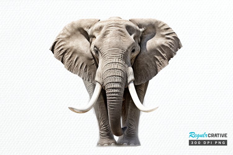 Cute Elephant Clipart Image 14