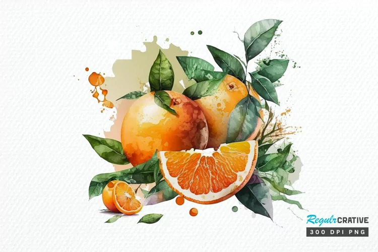 Watercolor Oranges PNG Clipart