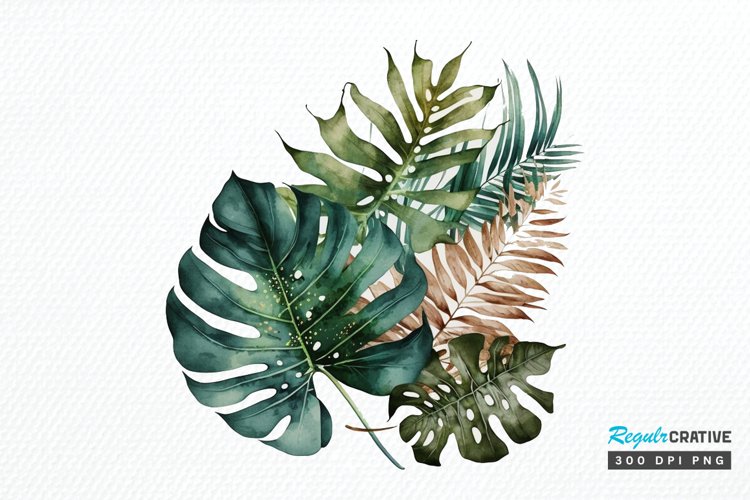 Tropical Leaf Png Image 16