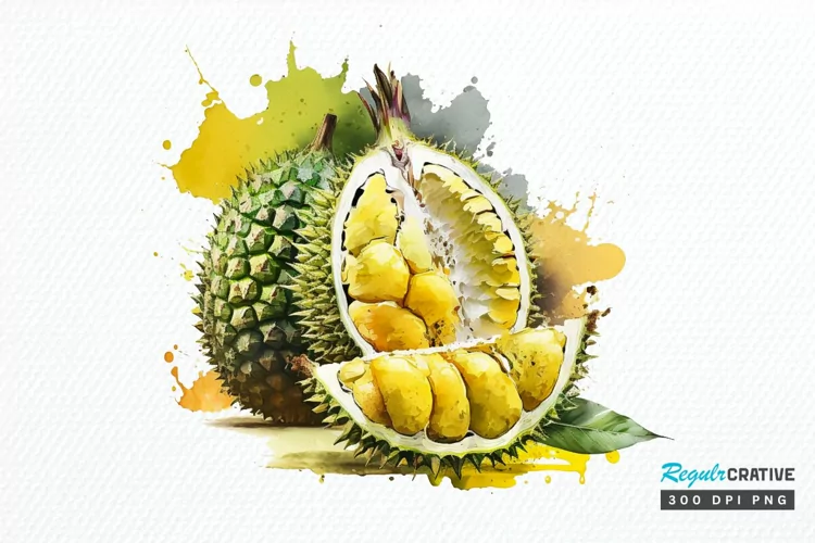 Watercolor Durian PNG Clipart