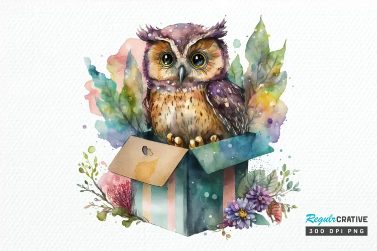 Watercolor Cute Owl Girl in Gift Box PNG Clipart