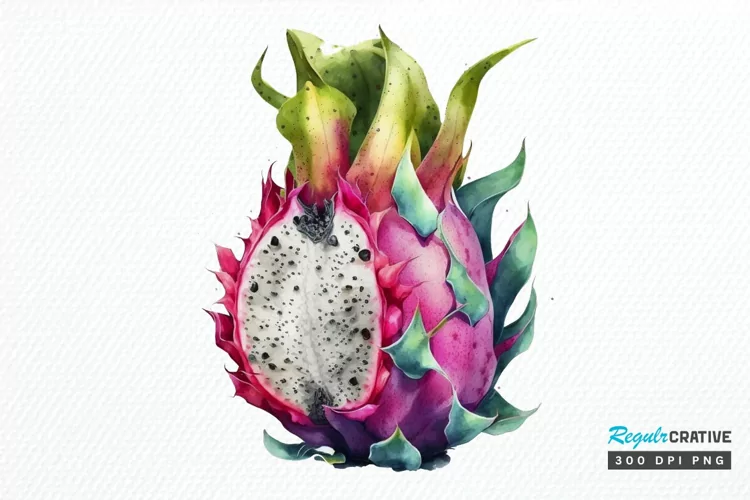 Watercolor Dragon Fruit PNG Clipart