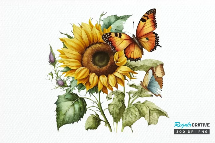 Watercolor Vintage Butterfly Sunflower PNG Clipart