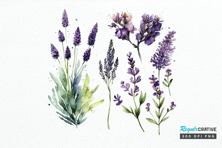 Watercolor Lavender Garden PNG Clipart