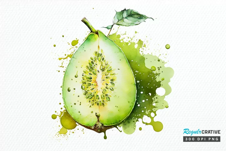 Watercolor Honeydew PNG Clipart