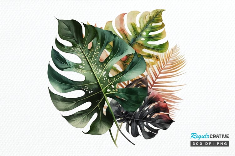 Tropical Leaf Png Image 14
