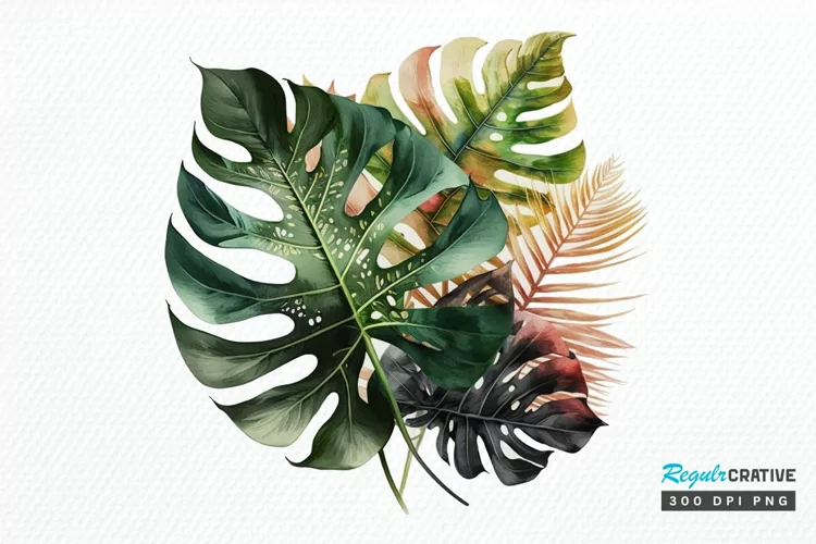 Watercolor Tropical Leave PNG Clipart