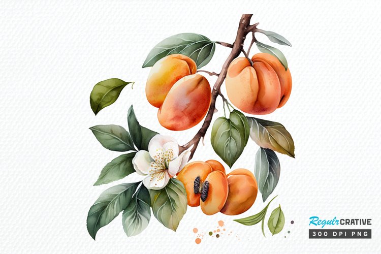 Aesthetic Clipart Image 24