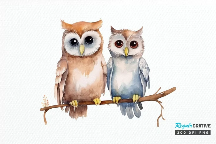 Watercolor Cute Couple Owl PNG Clipart