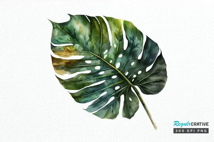 Watercolor Tropical Leave PNG Clipart