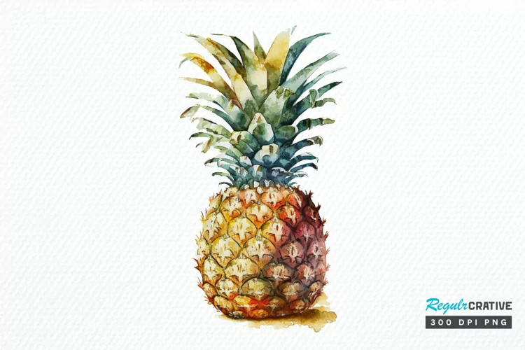 Watercolor Pineapple PNG Clipart