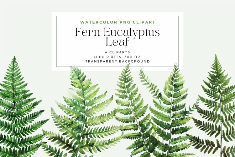 Watercolor Fern Eucalyptus Leaf Clipart
