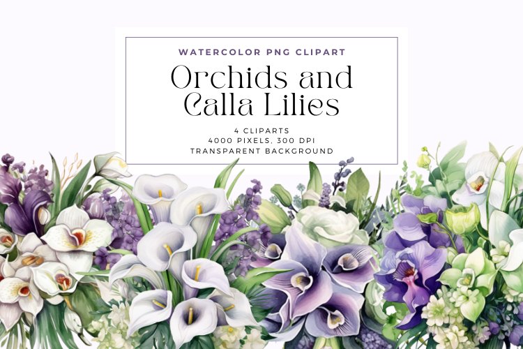Orchid Clipart