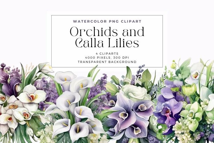 4 Watercolor Orchids and Calla Lilies Clipart