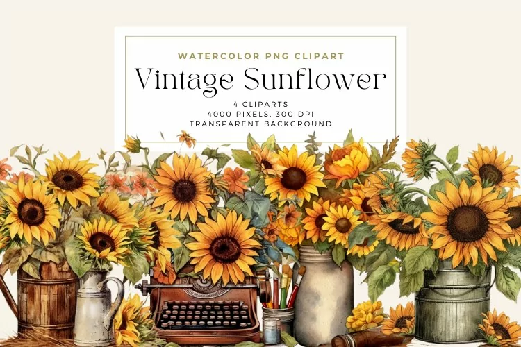 4 Watercolor Vintage Sunflower Clipart