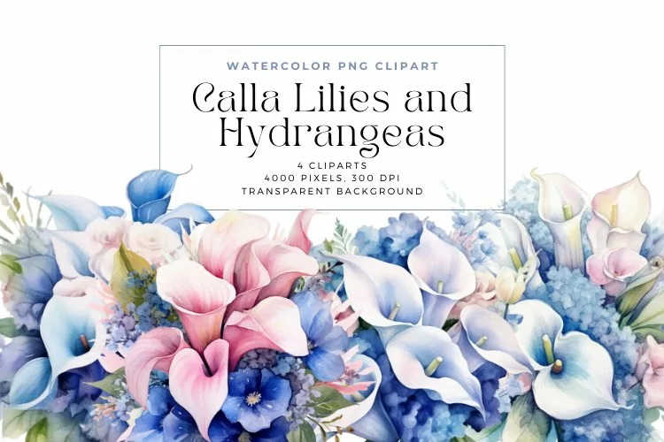 4 Watercolor Calla Lilies and Hydrangeas Clipart