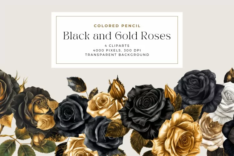 Watercolor Colored Pencil Black and Gold Roses Clipart