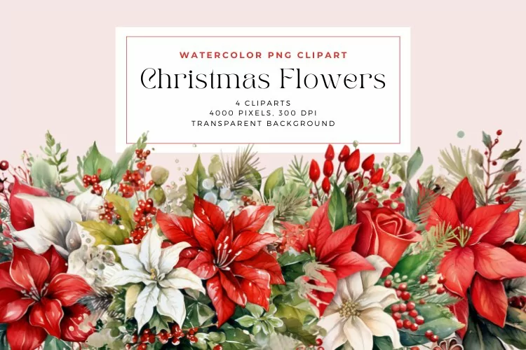 4 Watercolor Christmas Flowers Clipart