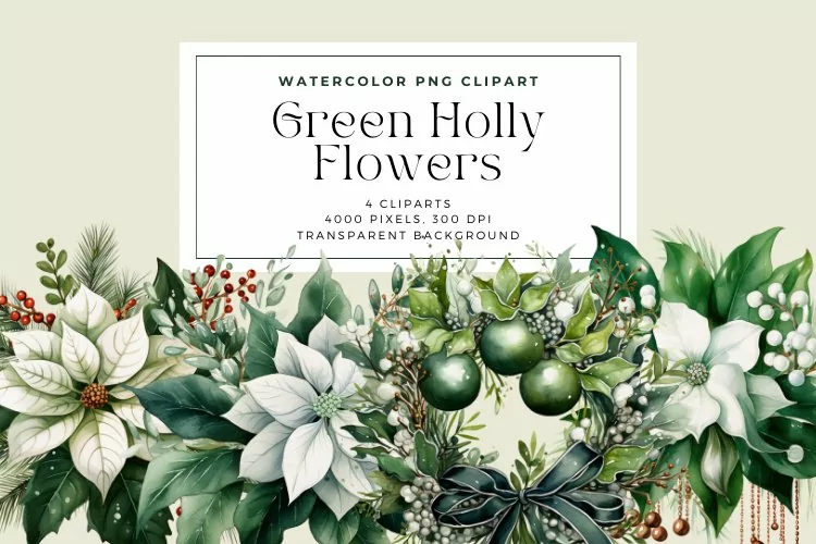 4 Watercolor Green Holly Flowers Clipart