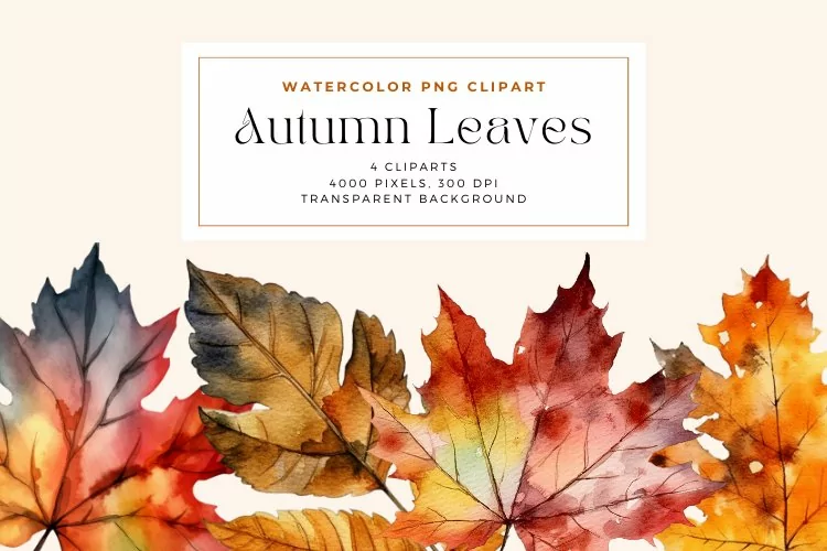 4 Watercolor Autumn Leaves Clipart