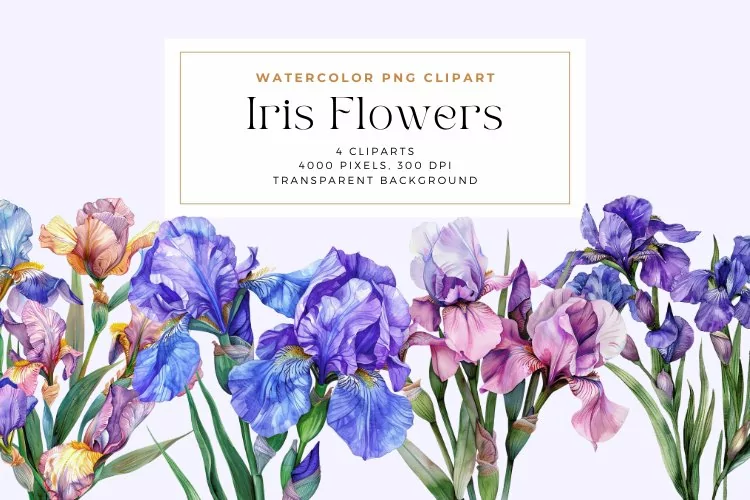 Watercolor Iris Flowers Clipart