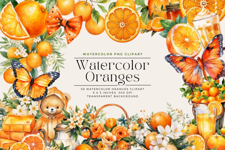 59 Watercolor Oranges Clipart example image 1