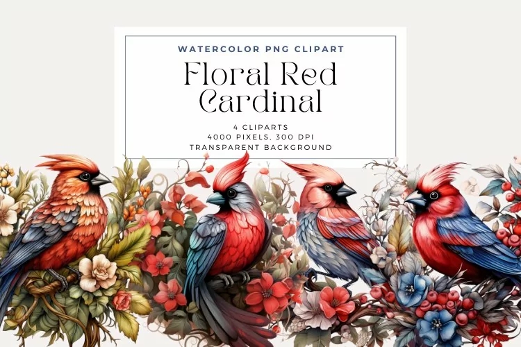 4 Watercolor Floral Red Cardinal Clipart