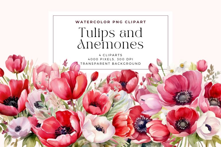 4 Watercolor Tulips and Anemones Clipart