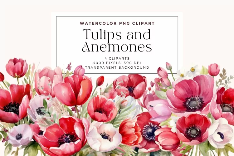 4 Watercolor Tulips and Anemones Clipart