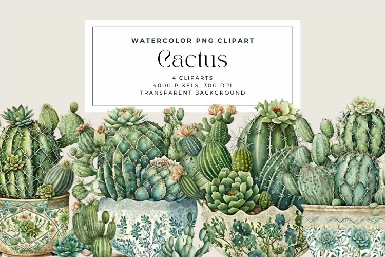 4 Watercolor Cactus Clipart