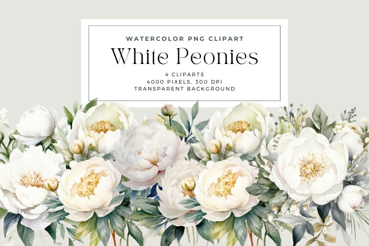 Peony Clipart Image 2