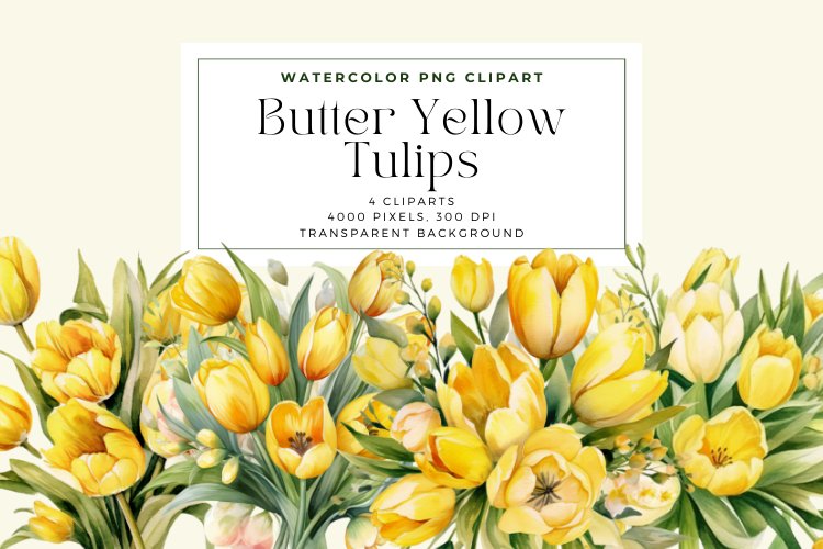 4 Watercolor Butter Yellow Tulips Clipart