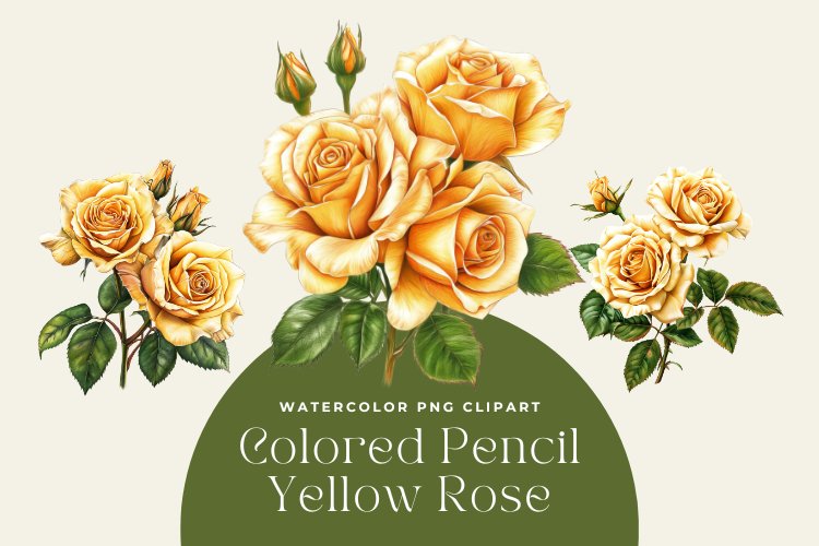 Watercolor Colored Pencil Yellow Rose Clipart example image 1